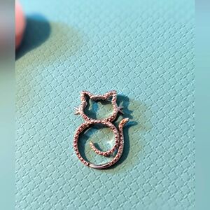 Kitty Cat Charm + Free Tervis Stainless steel Cup